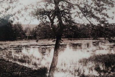 Agrandir l'image 7 sur 12, fenêtre modale