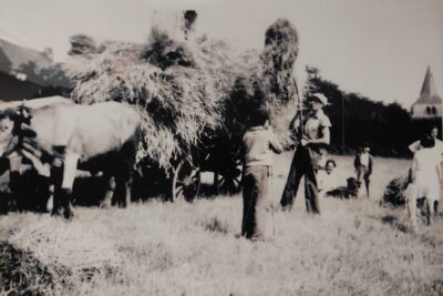 Agrandir l'image 8 sur 12, fenêtre modale